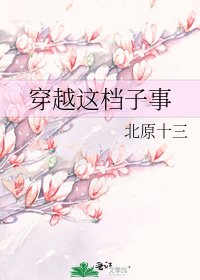 《穿越这档子事》