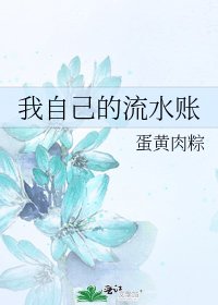 《我自己的流水账》