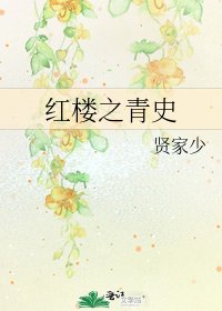 《红楼之青史》
