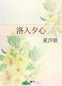 《洛入夕心》