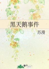 《黑天鹅事件》