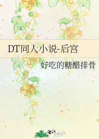 《DT同人-后宫》