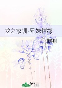 《龙之家训-兄妹情缘》