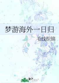 《梦游海外一日归》