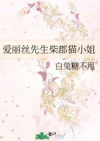 《爱丽丝先生柴郡猫小姐》