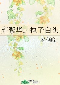 《弃繁华,执子白头》