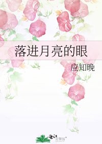 《落进月亮的眼》