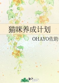 《猫咪养成计划》