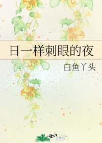《日一样刺眼的夜》