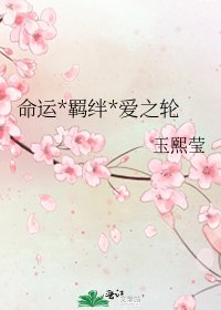 命运*羁绊*爱之轮