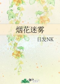 《烟花迷雾》
