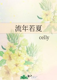 《流年若夏》