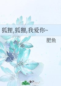狐狸,狐狸,我蔼你~