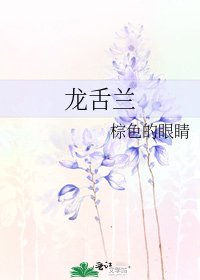 《龙舌兰》