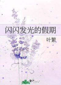 《闪闪发光的假期》