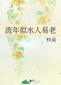 《流年似水人易老》