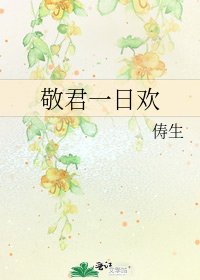 《敬君一日欢》