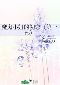 《魔鬼小姐的初恋(第一部)》