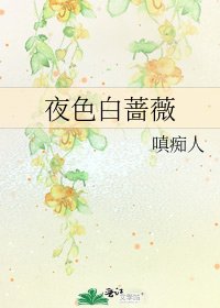 《夜色白蔷薇》