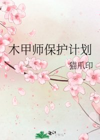 《木甲师保护计划》