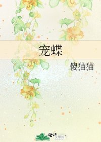 《宠蝶》