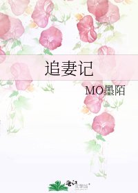 《追妻记》