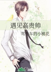 《遇见高贵帅》