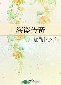 海盗传奇