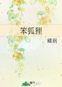 《笨狐狸》
