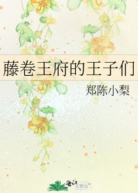 藤卷王府的王子们
