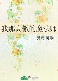 《我那高傲的魔法师》