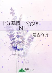 十分基情十分gay[bl]