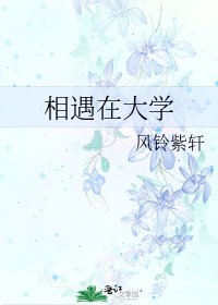 《相遇在大学》