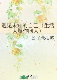 《遇见未知的自己(生活大爆炸同人)》