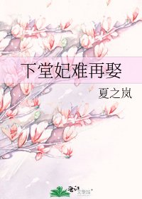 《下堂妃难再娶》