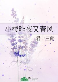 《小楼昨夜又春风》