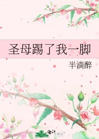 《圣母踢了我一脚》