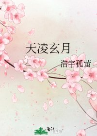 《天凌玄月》