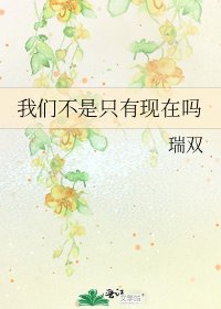 《我们不是只有现在吗》