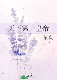 《天下第一皇帝》