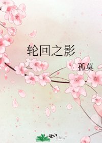 《轮回之影》