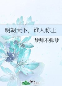 明朝天下,谁人称王