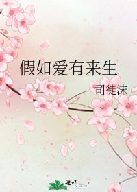 《假如爱有来生》
