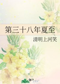 《第三十八年夏至》