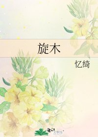 《旋木》