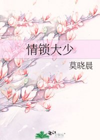 《情锁大少》