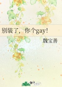 《别装了,你个gay!》