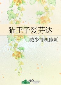 《猫王子爱芬达》