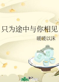 《只为途中与你相见》