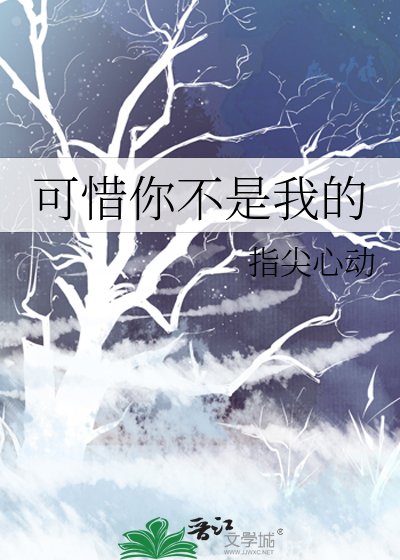 《可惜你不是我的》